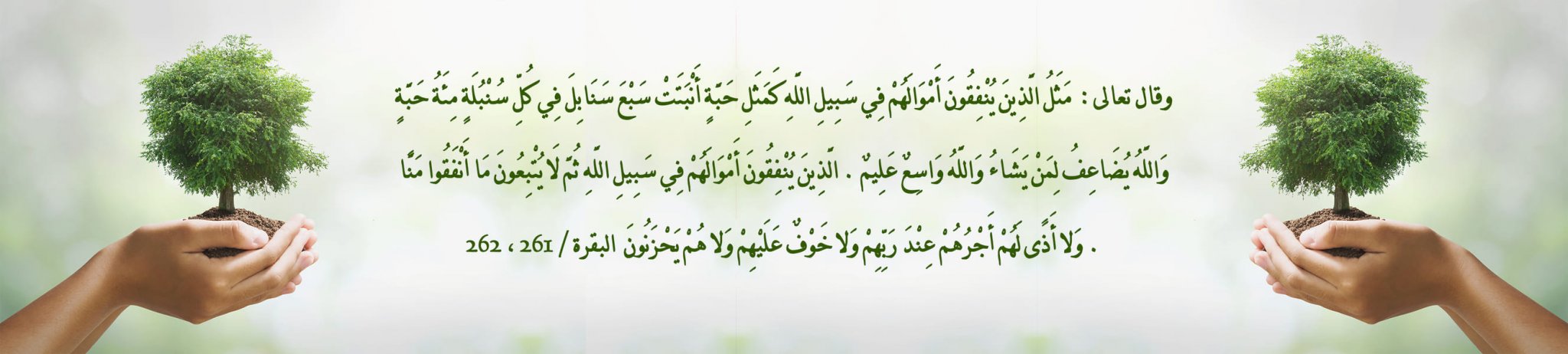 جمعية نبض حاضنة الجمعيات لتنمية المنظمات
